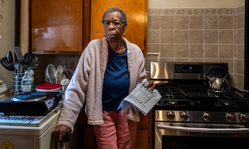 NYCHA to Replace Gas Stoves in 100 Apartments Under Energy-Efficiency Pilot Program