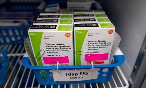 Waning immunity and falling vaccination rates fuel pertussis outbreaks