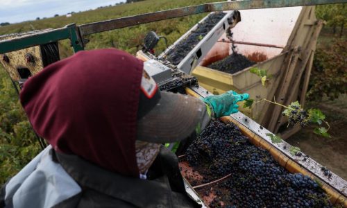 2025 is turning out to be a great year for wine