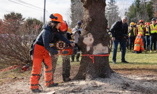 Battenfeld: Michelle Wu can cut a Christmas tree, but not her own budget