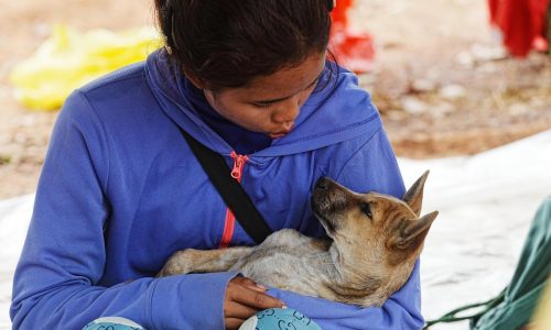 Tailandia reporta primeras muertes civiles en renovado conflicto fronterizo con Camboya