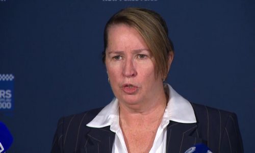 Acusan a 4 hombres en Sydney de difundir videos de abuso infantil vinculados a red internacional