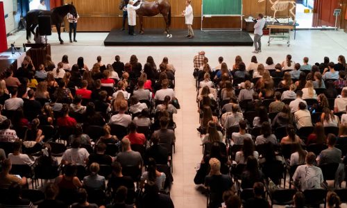 Los estudiantes británicos volverán al programa de intercambio Erasmus de la UE tras el Brexit