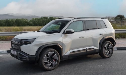 Ukraine November 2025: BYD up to record 19.6% share, places Leopard 3 at #1