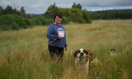 Tras siglos de conflicto, los indígenas mapuches de Chile le temen al ascenso de la ultraderecha