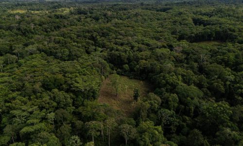 Colombia usará drones para destruir cultivos de coca ante récord de producción de cocaína