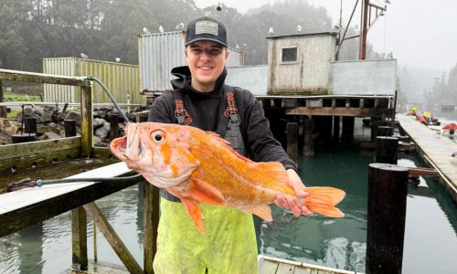 A California fisherman may have broken records by catching a 10.25-pound canary rockfish