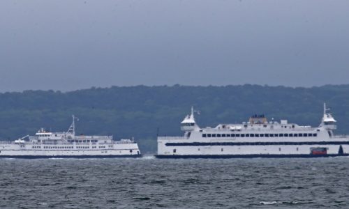 Report: Steamship Authority wasted millions in public funds on failed website