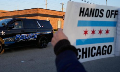 Diane Goldstein: When policing becomes political, public safety suffers