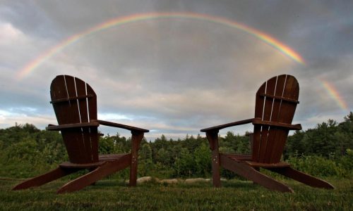 Creating a simple garden sanctuary for year-round relaxation