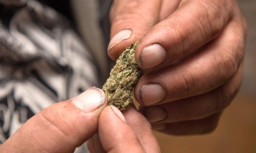 Smoke clears, pot cafes approved in Massachusetts