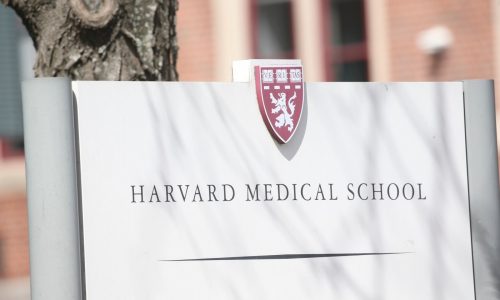 Creepy doll maker pleads guilty in Harvard Med stolen human remains case