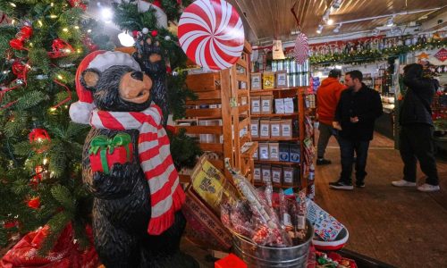 More thrifting and fewer returns, the early trends that defined shopping this holiday