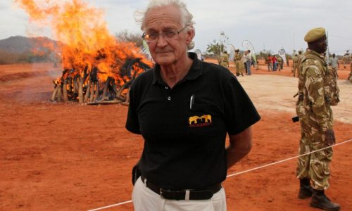 Iain Douglas-Hamilton, British zoologist and Save the Elephants founder, dies at 83
