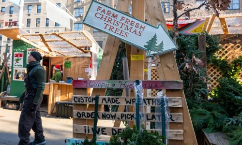 Column: Charlie Brown-style real trees are superior: snowshoes are optional