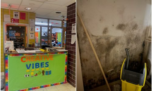 NYCHA Has Ignored Mold at This Brooklyn After-School Center for a Year, Staffers Say  
