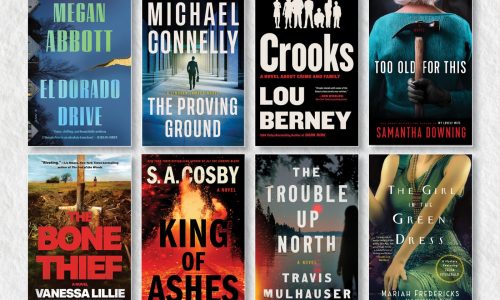The best mystery novels of 2025