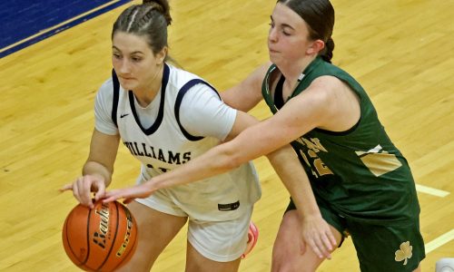 Bishop Feehan picks up victory over Archbishop Williams