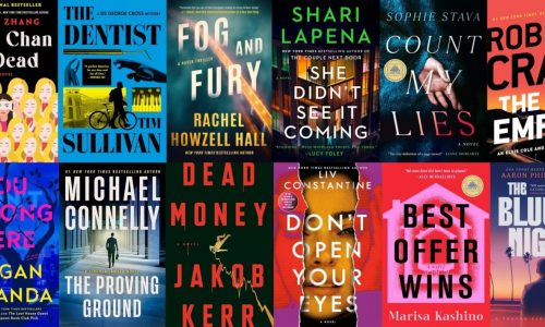 32 mysteries and thrillers from 2025 to read over the holidays