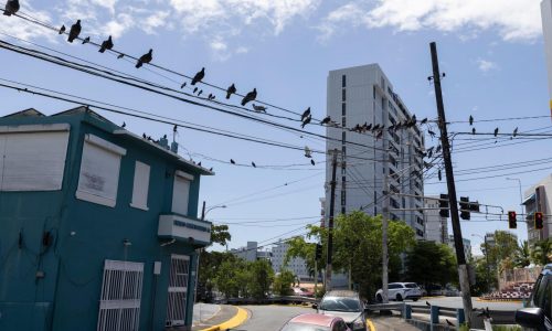 Puerto Rico demanda a Luma para cancelar contrato en medio de apagones crónicos y aumento de tarifas