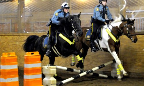 Jett once served St. Paul as police horse, now he’s in need of the public’s help
