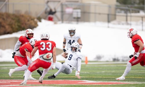 Division-III NCAA football quarterfinals: Overturned TD hurts Bethel in loss to North Central