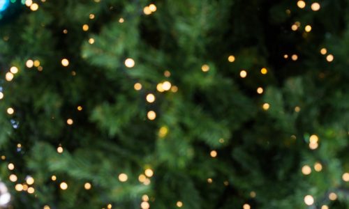 Mark Glende: Against the odds, this tipsy tree with the leaning star