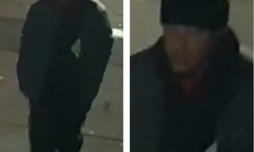 Boston Police Blotter: Stolen gun, shoplifting