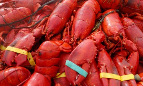Oysters, crab and $400,000 worth of lobster meat stolen in New England
