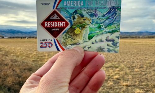 Artist makes stickers to cover Trump’s face on National Parks passes — and the orders are flying in