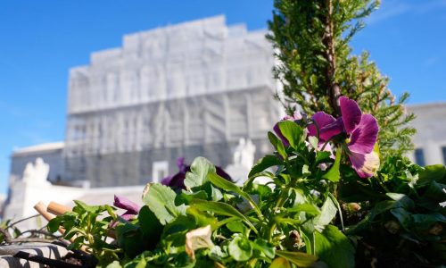 Corte Suprema de EEUU permite a Texas usar un mapa electoral favorable a republicanos en 2026