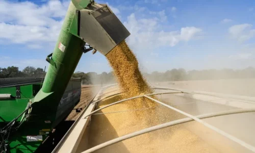 Trump Announces $12 Billion Farm Aid Program