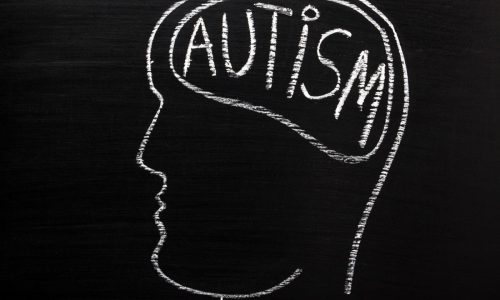Scientists identify 4 main types of autism