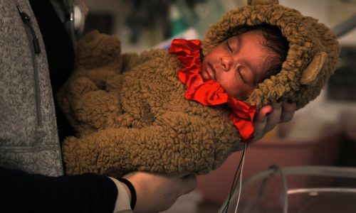 The Nutcracker’s Dancing Bear celebrates the season with families at Tufts NICU