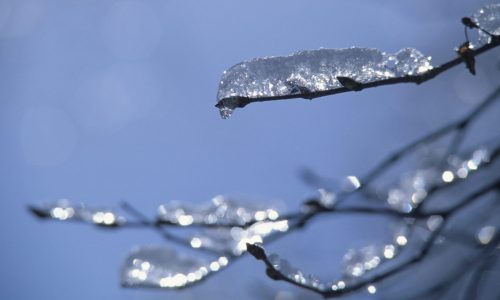 With temperatures dropping, Minneapolis shelter opens during day this weekend