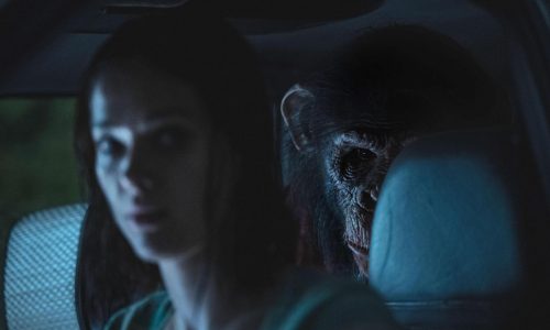 ‘Primate:’ Monkey mayhem in effective horror thriller