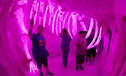 5 cool things you’ll see at Meow Wolf LA (like a fish-shaped spaceship)