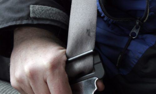 Bay Staters continue to buckle up