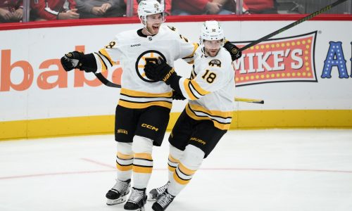 Two Bruins forwards sidelined for Stadium Series game vs. Lightning