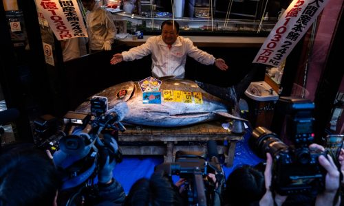 Ticker: Bluefin tuna sells for record $3.2 million; China and South Korea pledge to bolster ties