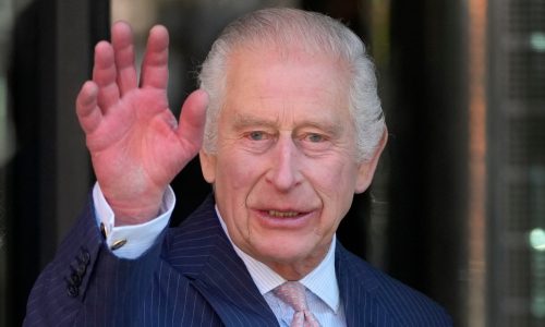 King Charles III believes ‘harmony’ can help save the planet. His documentary explains how