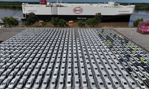 Argentina recibe el primer envío de autos eléctricos chinos en medio de la crisis económica