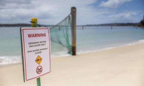 Tres ataques de tiburones dejan dos heridos en playas de Australia