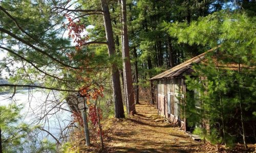 Plans call for Science Museum’s Pine Needles land to be put in conservation easement