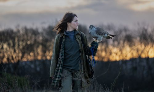 Claire Foy en-raptor-ed with ‘H is for Hawk’