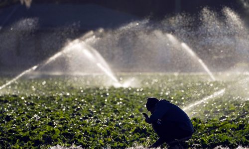 Landrith: FL Farm Bill leads way for agricultural security