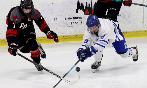 Pope Francis handles Braintree on the road