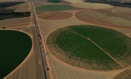 Fin de la moratoria de la soya en Brasil pone en riesgo a la selva amazónica