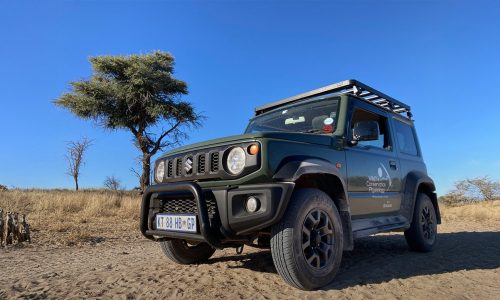 Clever ways to deal with hot days: how small mammals survive the Kalahari heat