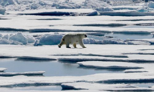 Lara Williams: America is missing a real problem in the Arctic